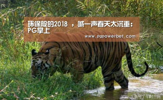 环保股的2018 ,喊一声春天太沉重:PG掌上(图2) 环保股的2018 ,喊一声春天太沉重:PG掌上(图2)