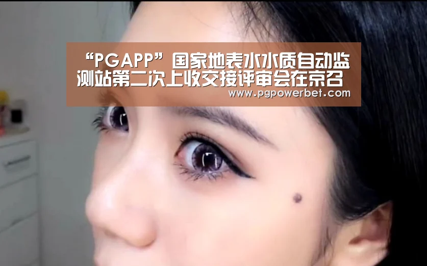 “PGAPP”国家地表水水质自动监测站第二次上收交接评审会在京召开(图3) PG电子
