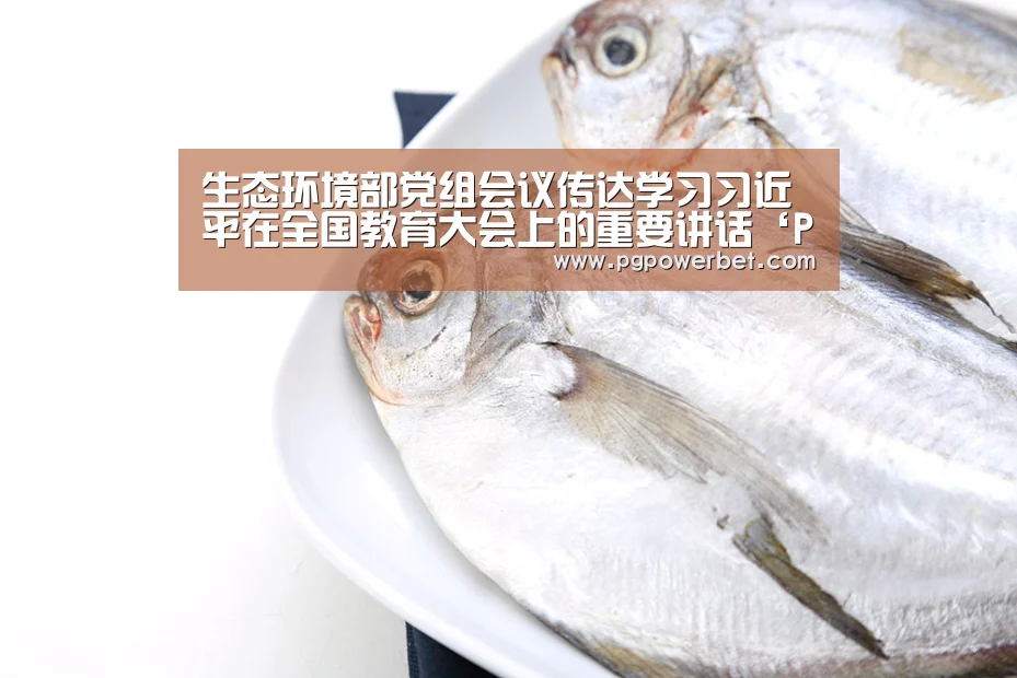 PG掌上