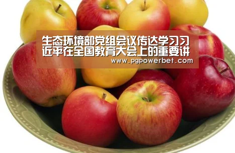 PG下载