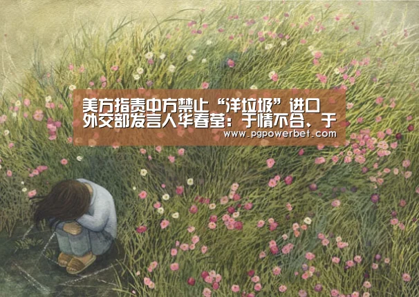PG掌上