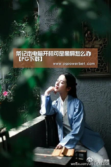 条记本电脑开机可是黑屏怎么办【PG下载】(图2)
条记本电脑开机可是黑屏怎么办【PG下载】(图2)