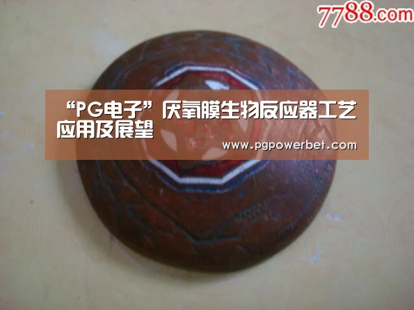 “PG电子”厌氧膜生物反应器工艺应用及展望(图1) “PG电子”厌氧膜生物反应器工艺应用及展望(图1)