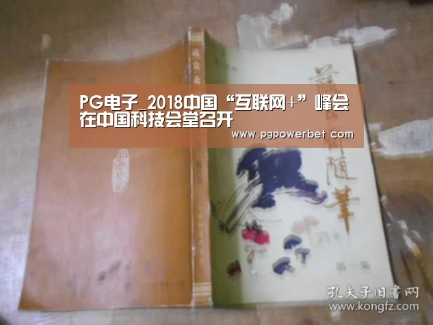 PG电子_2018中国“互联网+”峰会在中国科技会堂召开(图3) PG掌上