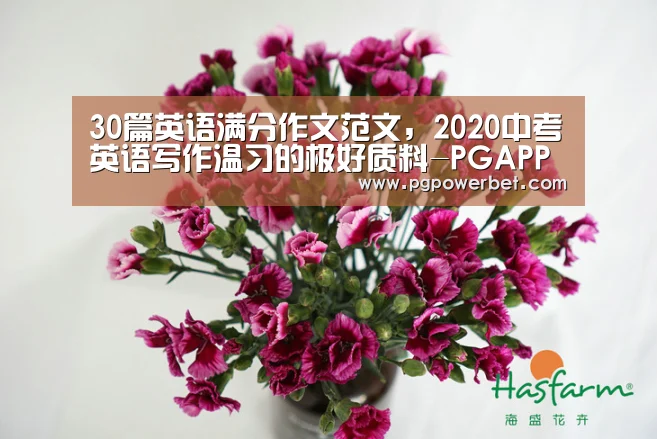 30篇英语满分作文范文,2020中考英语写作温习的极好质料-PGAPP(图3) PG下载