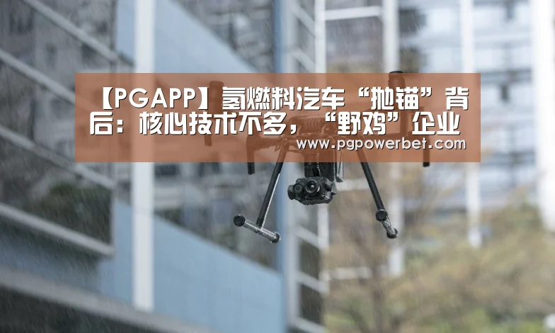 【PGAPP】氢燃料汽车“抛锚”背后:核心技术不多,“野鸡”企业不少(图2) 【PGAPP】氢燃料汽车“抛锚”背后:核心技术不多,“野鸡”企业不少(图2)