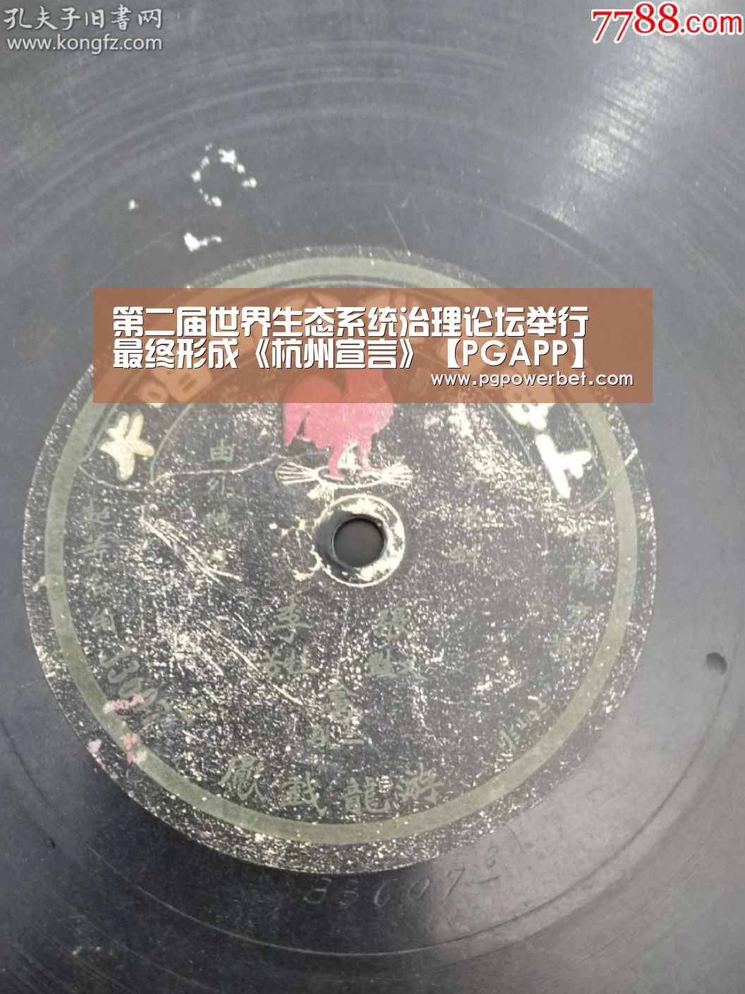 第二届世界生态系统治理论坛举行 最终形成《杭州宣言》【PGAPP】(图2) PG掌上