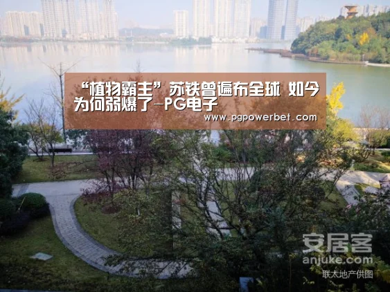“植物霸主”苏铁曾遍布全球 如今为何弱爆了-PG电子(图1) PG掌上