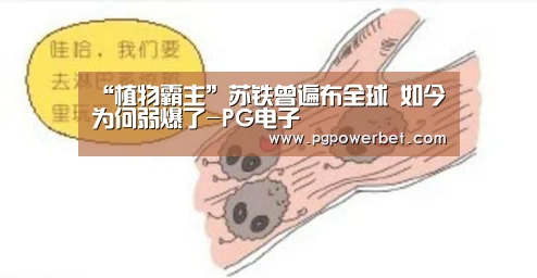 “植物霸主”苏铁曾遍布全球 如今为何弱爆了-PG电子(图4) PG掌上