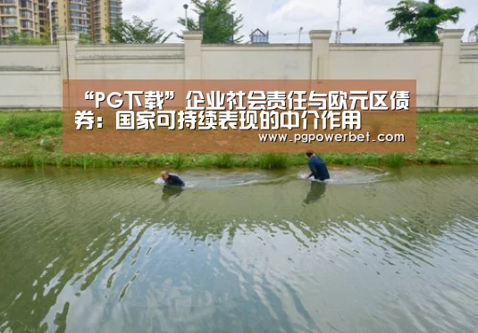 “PG下载”企业社会责任与欧元区债券:国家可持续表现的中介作用(图3) PG电子