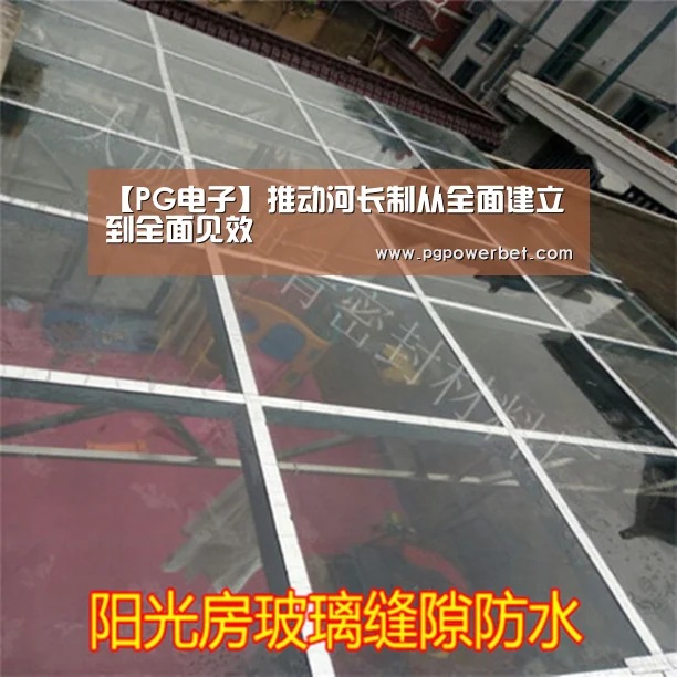 【PG电子】推动河长制从全面建立到全面见效(图4) PG掌上